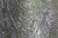 Fairlee fibreglass roof work